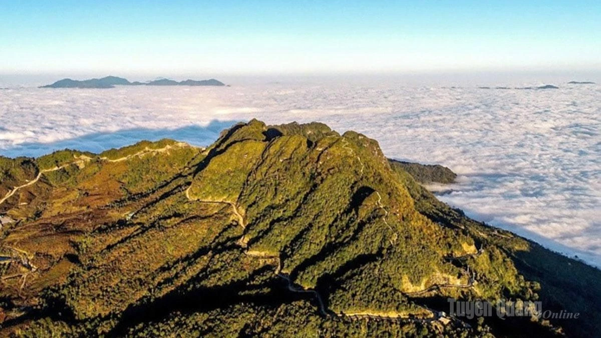 Chieu Lau Thi Peak, rising more than 2,400 meters above sea level, emerges amid a sea of clouds.