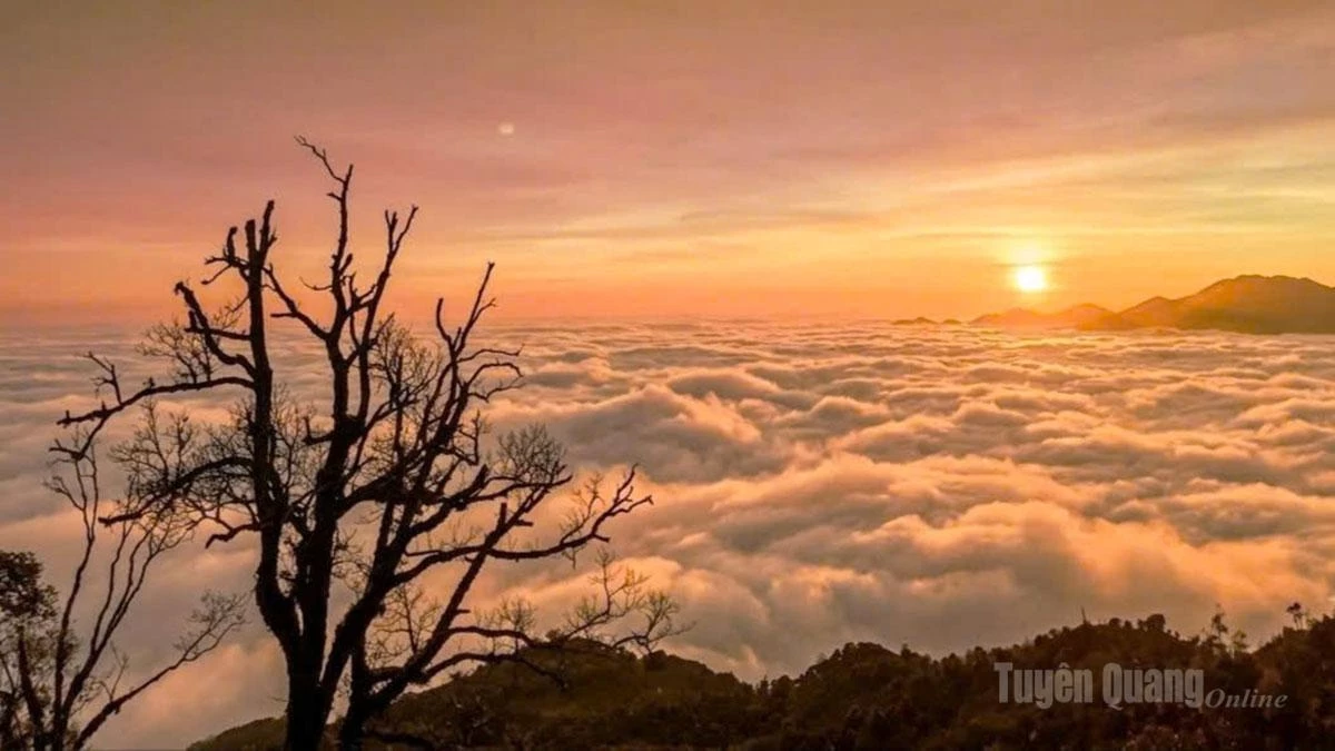 The setting sun casts a golden glow over the sea of clouds, creating a poetic and magnificent landscape.