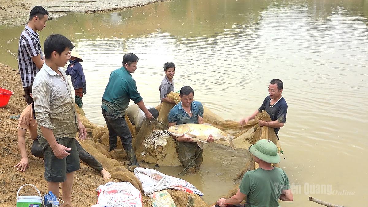 Người dân thôn Khiềm, xã Bắc Quang khai thác lợi thế từ nguồn nước nuôi thủy sản.
