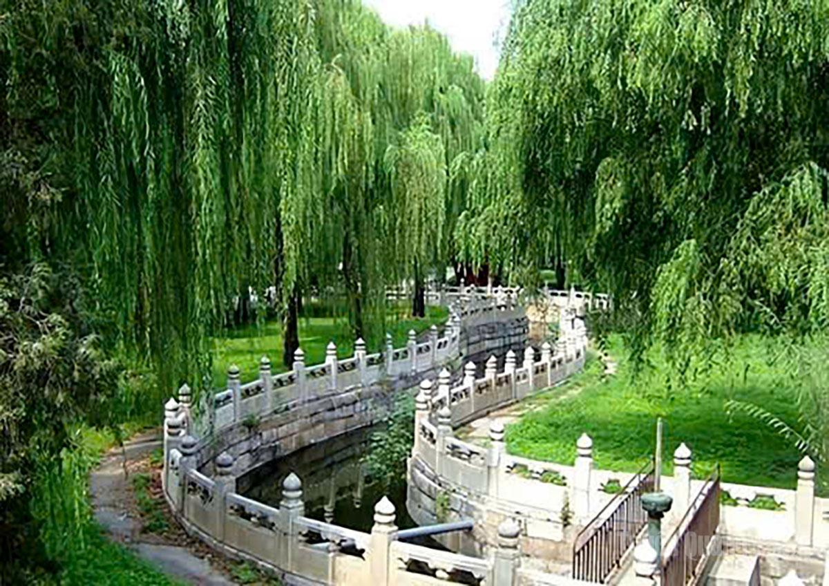 Ngự hoa viên, một không gian xanh mát bên trong Tử Cấm Thành.