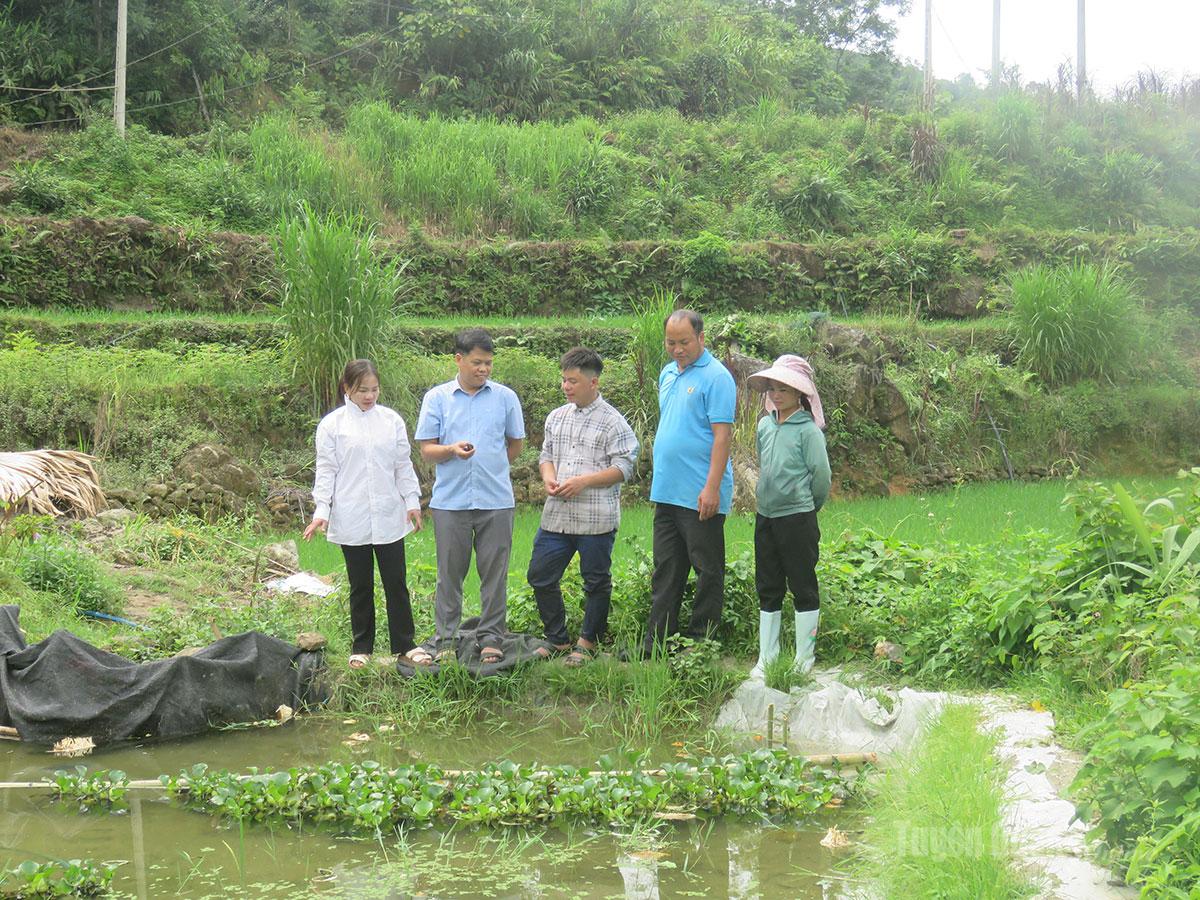 Lãnh đạo xã Tiên Nguyên và đảng viên Chi bộ thôn Xuân Hồng nắm tình hình phát triển 
mô hình nuôi ốc nhồi liên kết.
