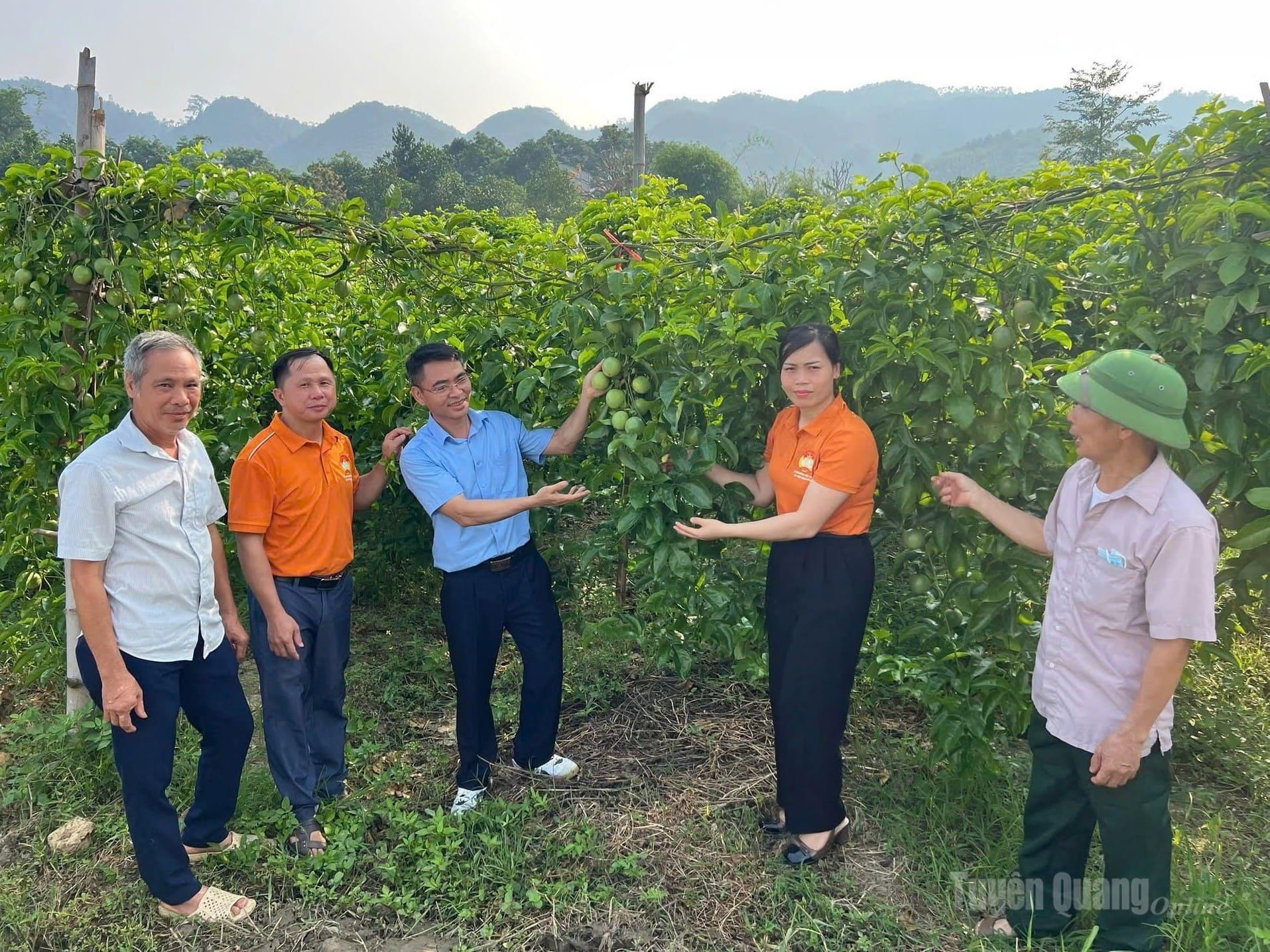 Mô hình trồng chanh dây tại xã Yên Nguyên đã mang lại nguồn thu nhập ổn định cho người dân
trên địa bàn