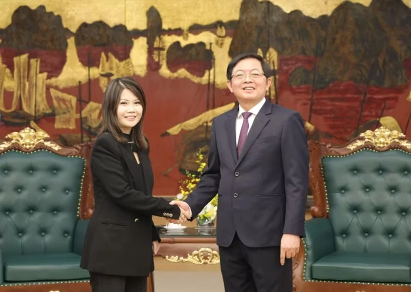 Deputy Prime Minister Ho Quoc Dung (right) receives Linda Tan, President of the Southeast Asia Semiconductor Association. (Photo: VGP)
