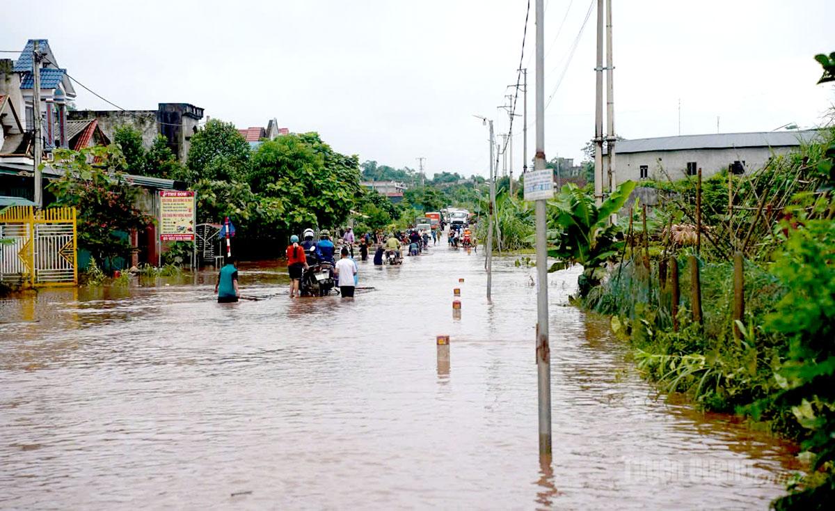 Tình trạng ngập úng liên tục tái diễn khi mưa lớn gây thiệt hại về tài sản, ảnh hưởng đến sản xuất, sinh hoạt của người dân và việc lưu thông trên tuyến Quốc lộ 279.