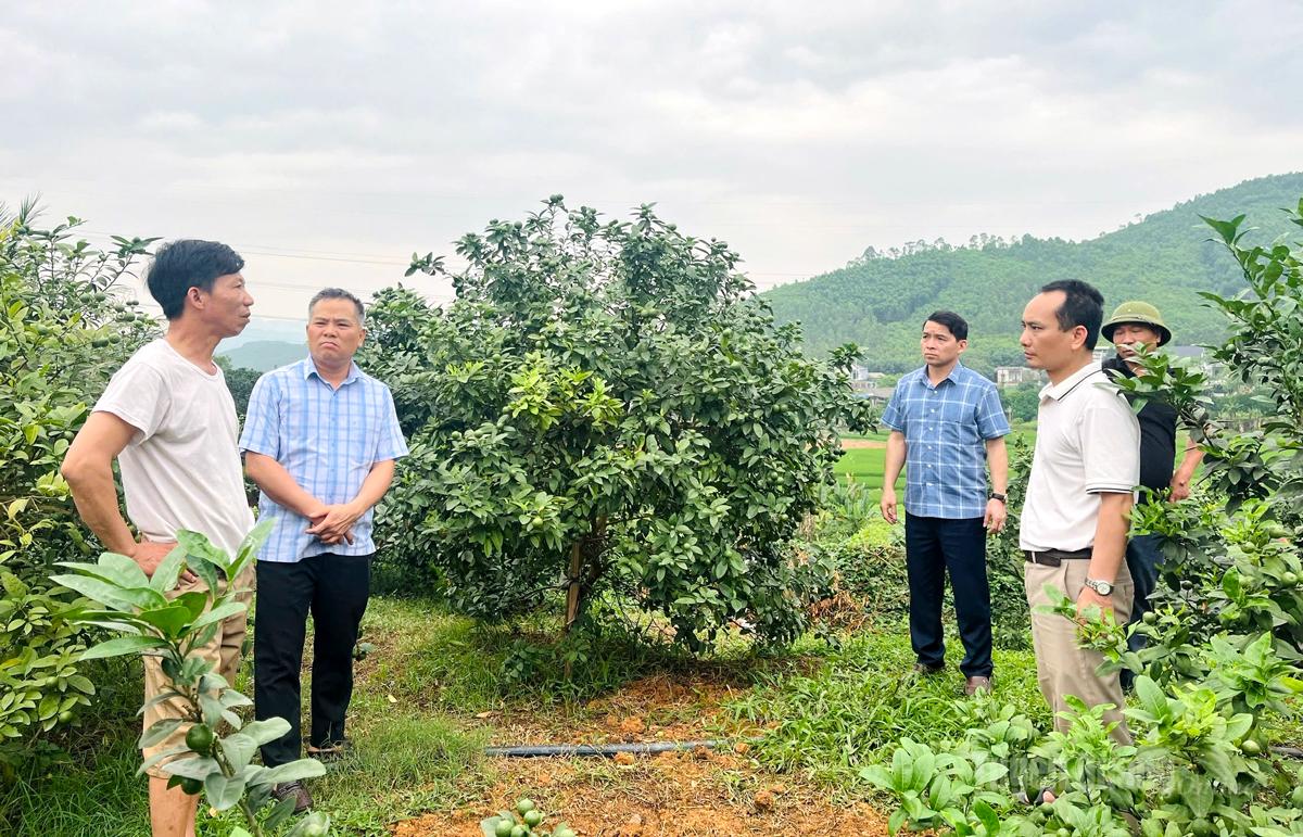 Các đồng chí lãnh đạo xã Bình Ca thăm, khảo sát các mô hình trồng chanh trên địa bàn xã.