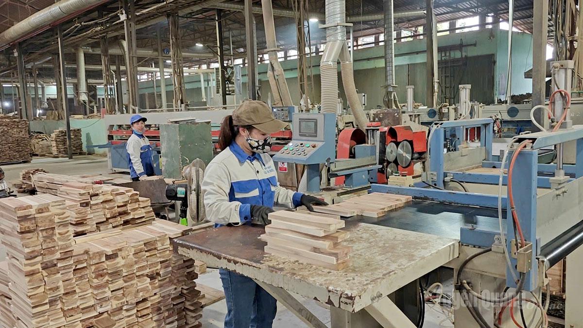Công ty cổ phần Cơ khí Tuyên Quang đầu tư dây chuyền sản xuất hiện đại, nâng cao chất lượng sản phẩm.