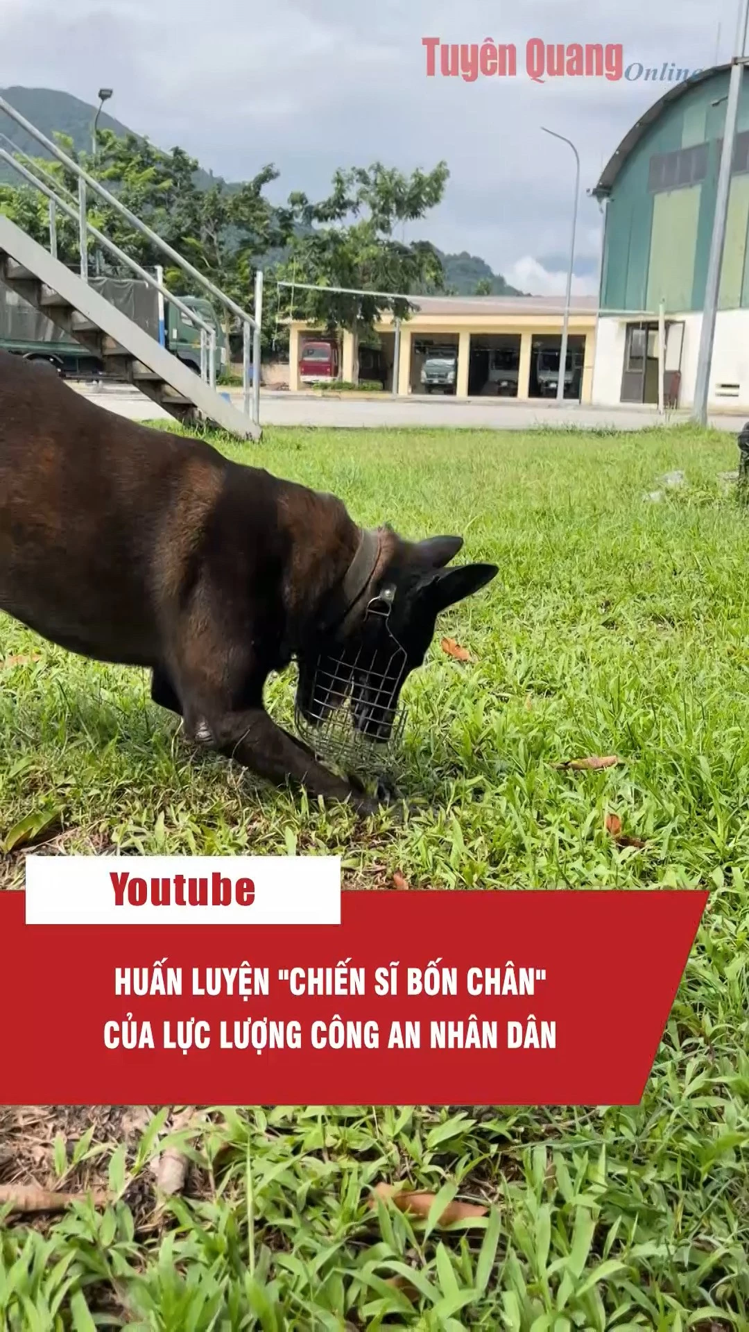 Huấn luyện chiến sĩ bốn ch&acirc;n của lực lượng C&ocirc;ng an nh&acirc;n d&acirc;n