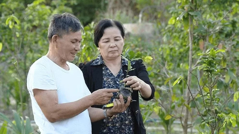 Những chính sách nhân văn chăm lo đời sống người cao tuổi