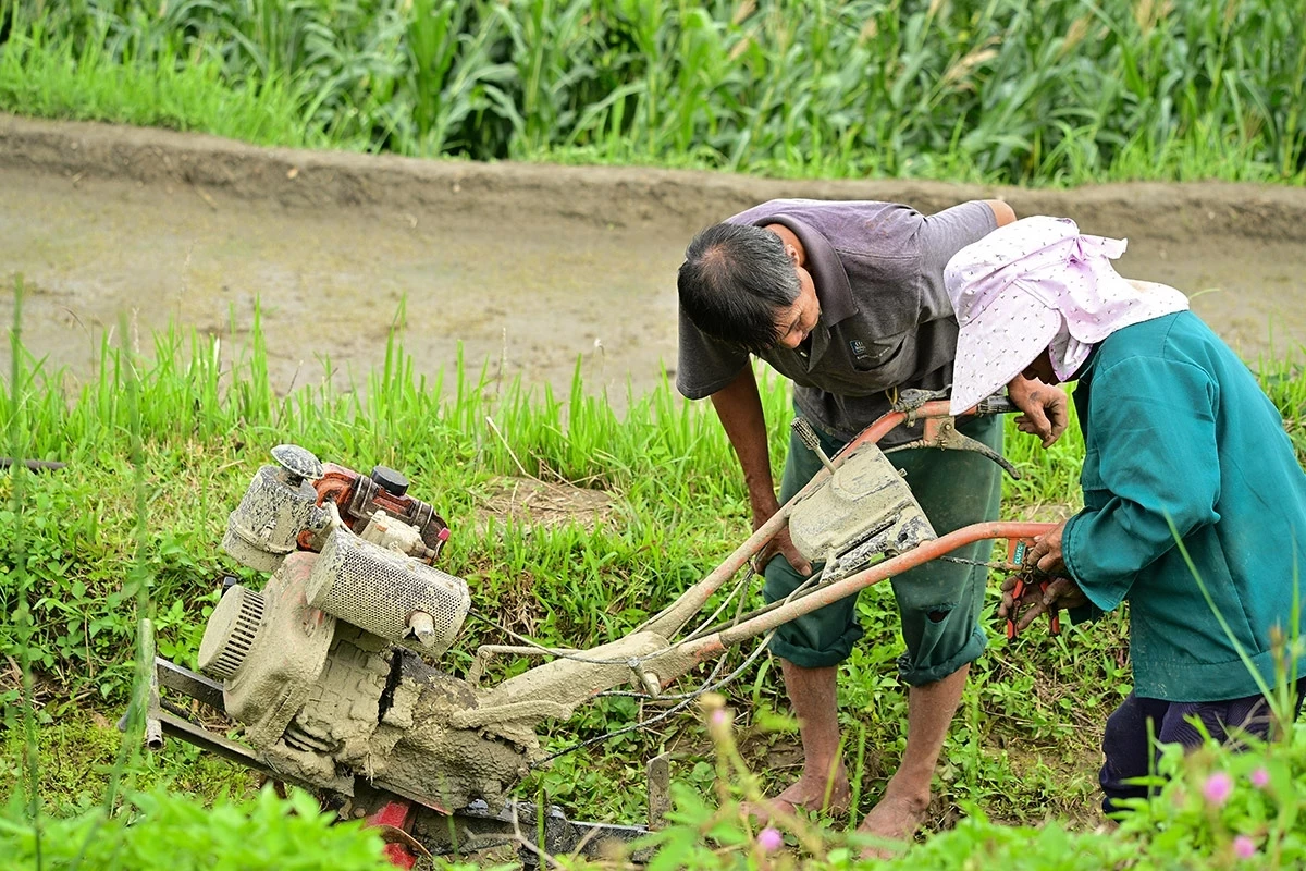 In the highlands, even elderly women are skilled at operating and repairing hand tractors.