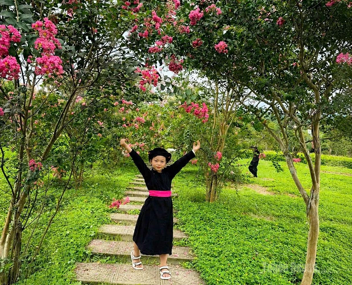 Children eagerly play and capture memorable moments amid the blooming crape myrtle season.