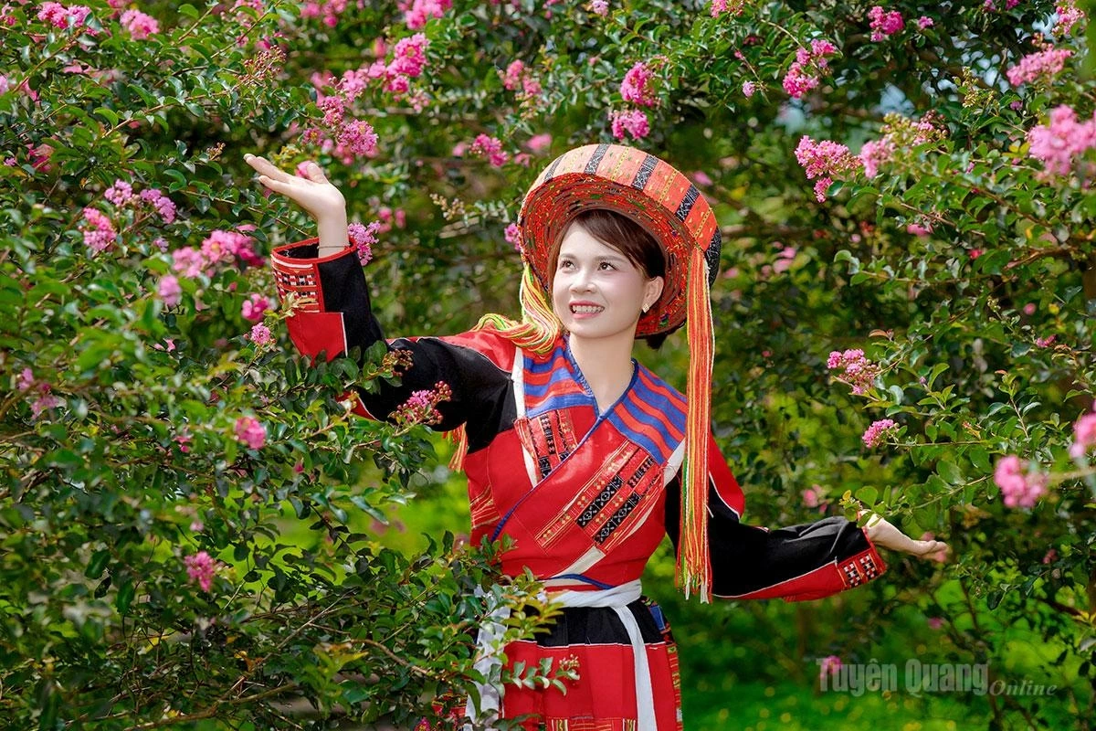 A young woman of the Pa Then ethnic group gracefully poses in her traditional costume amid the sea of blossoms.