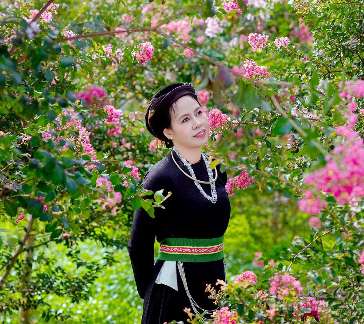 Women of the Tay ethnic group capture beautiful photographs during the vibrant crape myrtle season.