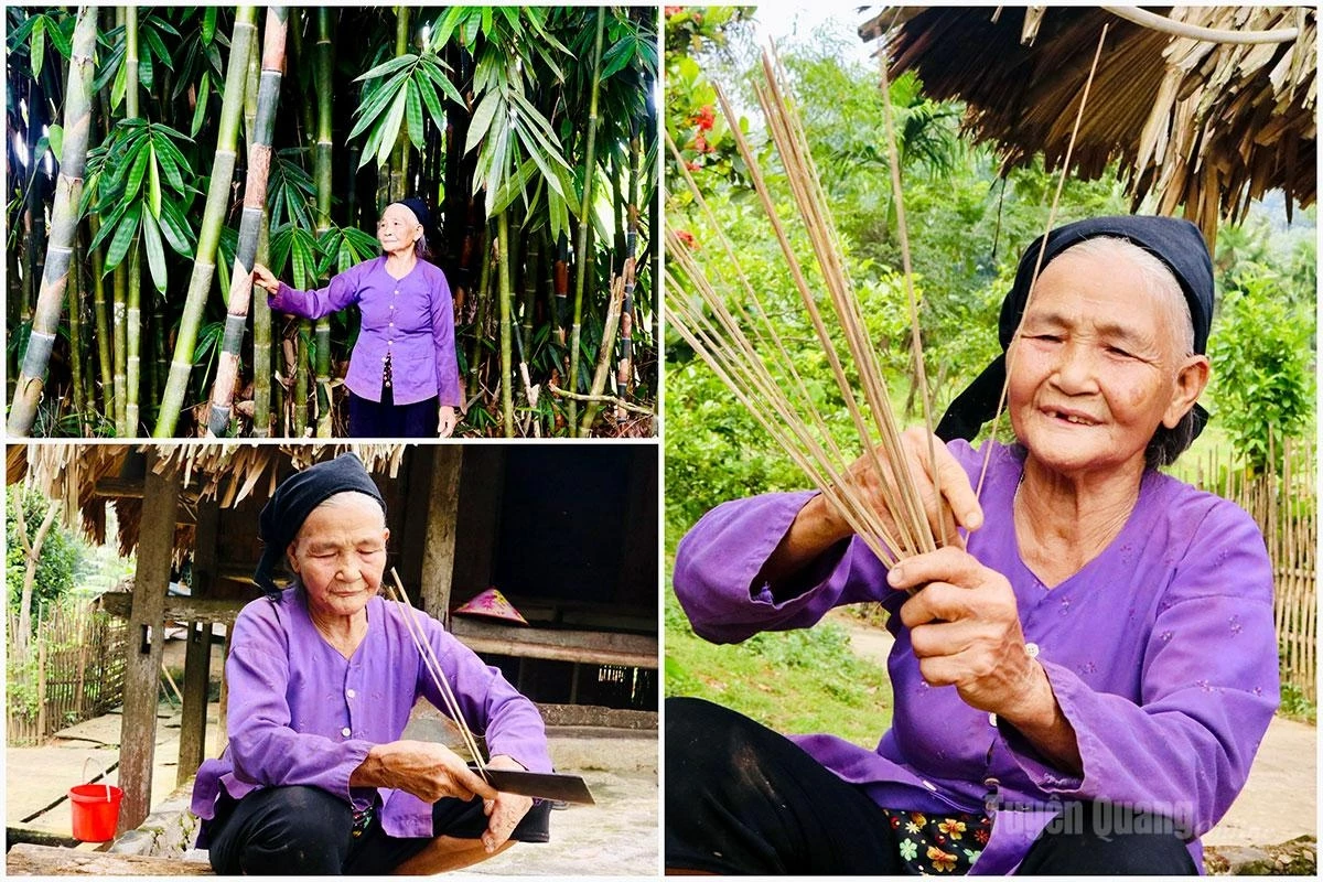 To make incense sticks, Ha Thi Nu, 78, and other villagers select long-internode bamboo and vầu bamboo. The bamboo is soaked in ponds for several months, dried in the sun, and then split into sticks measuring 40–50 cm in length.