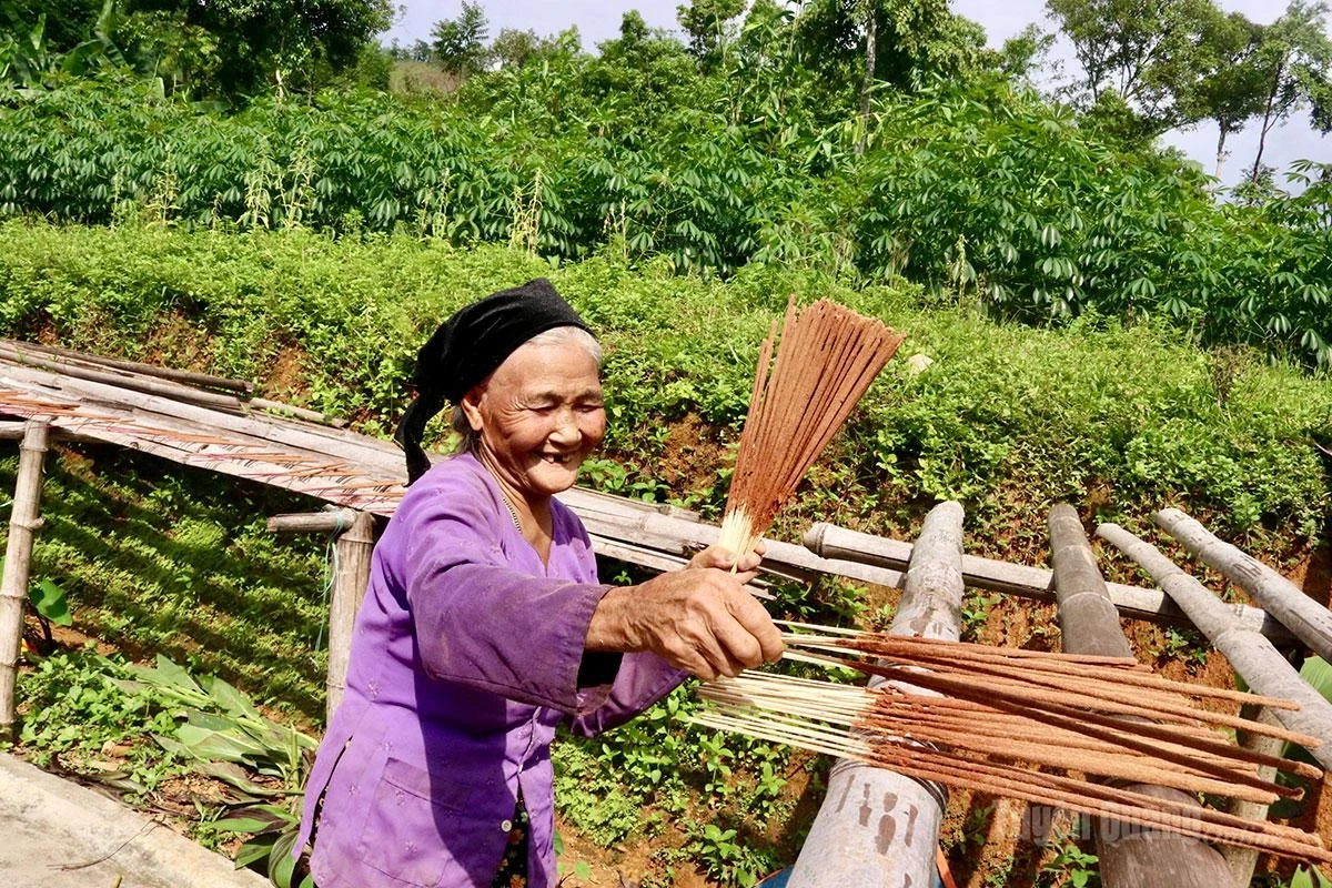 After being made, the incense sticks are dried under gentle sunlight for two to three sunny days to ensure they become dry, firm and burn evenly.
