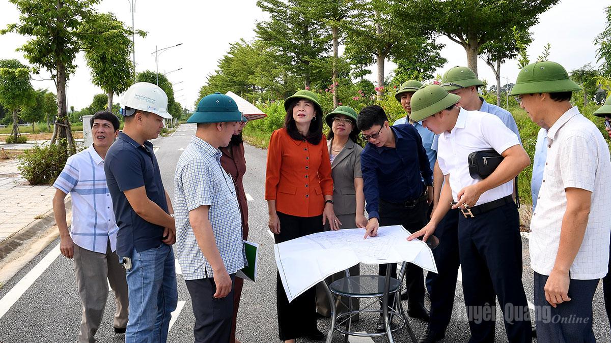 Thường trực HĐND tỉnh giám sát việc sử dụng đất dự án các địa phương