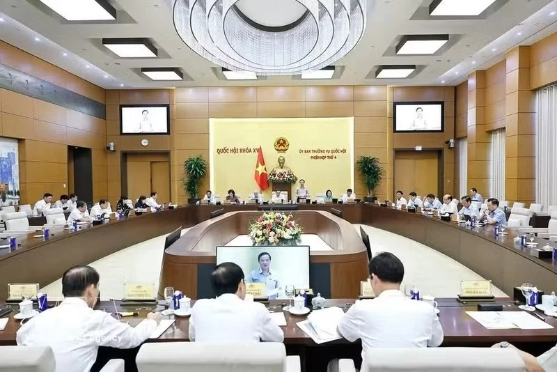 An overview of the meeting. (Photo: VNA)