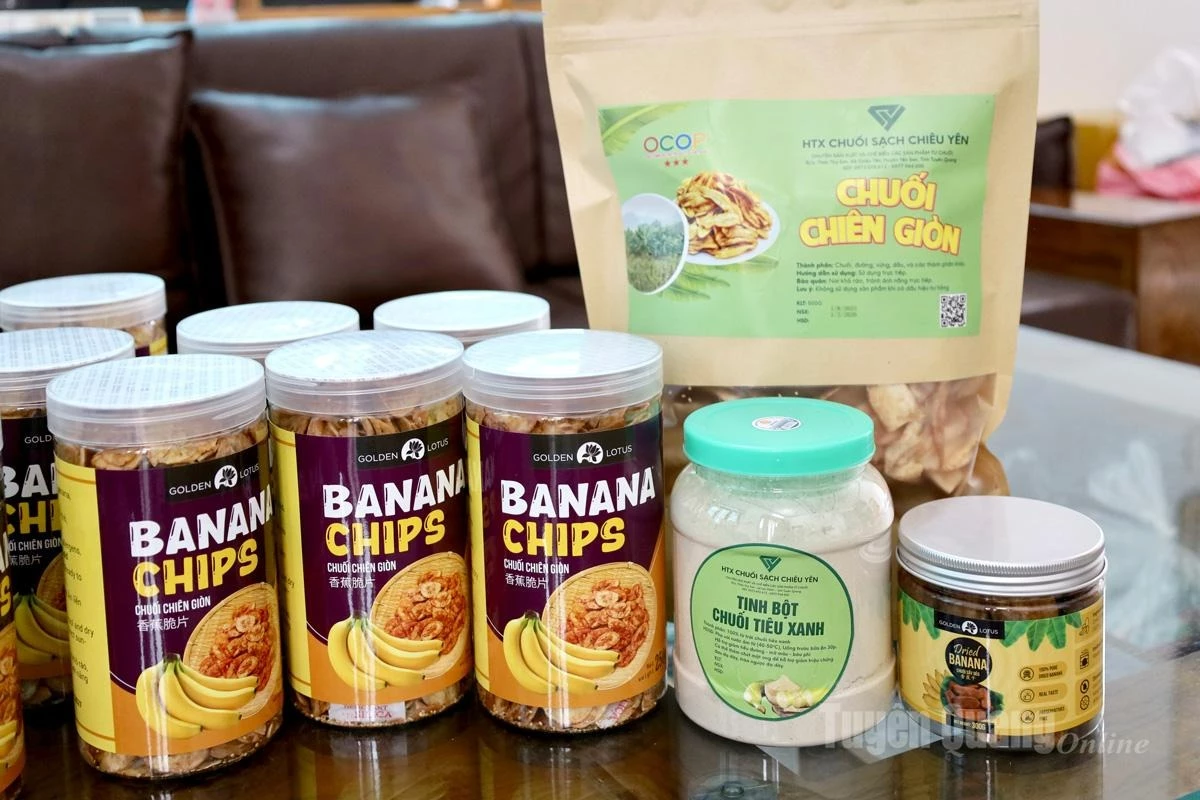 From banana chips, Chieu Yen Banana Cooperative has diversified into many banana-based products. In particular, banana powder is a new product that is consumed by customers.