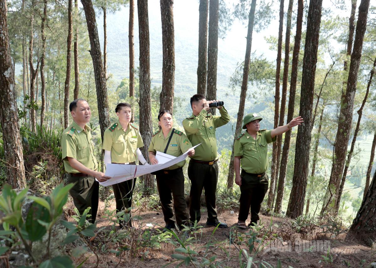 Forest Protection Unit Region XVI patrols and monitors the Chi San Nature Reserve.