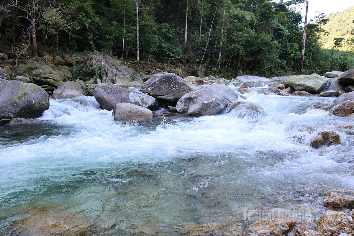 Nam An is blessed with abundant water resources and a stable temperature of 15–18°C - ideal conditions for sturgeon to thrive.