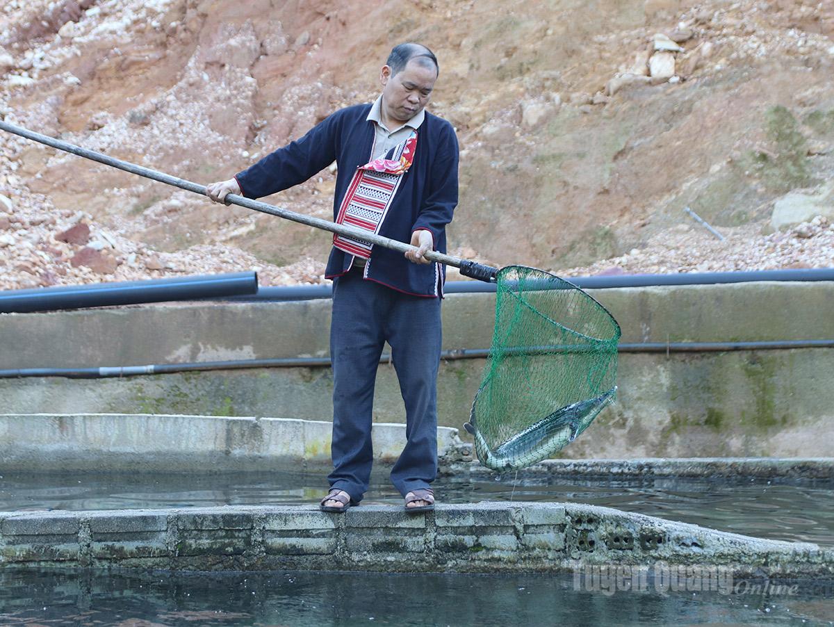 A system of pipes channels fresh spring water directly into fish tanks, ensuring continuous circulation, cleanliness, and high oxygen levels.