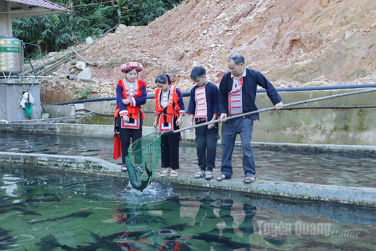 Vượt khó từ hai bàn tay trắng, đến nay, gia đình ông Loàng sở hữu hơn 40.000 cá thương phẩm, sản lượng xuất bán từ 15–20 tấn/năm, mang lại doanh thu từ 2,7–4 tỷ đồng.