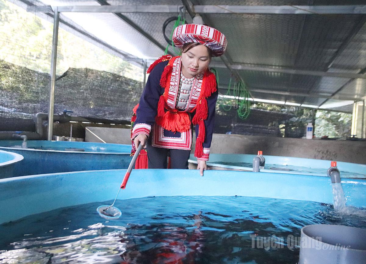 Gia đình ông Loàng cũng là hộ duy nhất ở Nậm An ươm thành công cá giống, cung cấp cho người dân trong thôn với giá chỉ bằng một nửa so với thị trường.