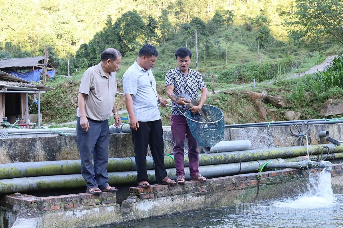 Ông Triệu Chàn Loàng đã sáng lập Hợp tác xã cá Tầm Nậm An, quy tụ 26 thành viên, góp phần nâng chất lượng sản phẩm và mở rộng thị trường tiêu thụ.
