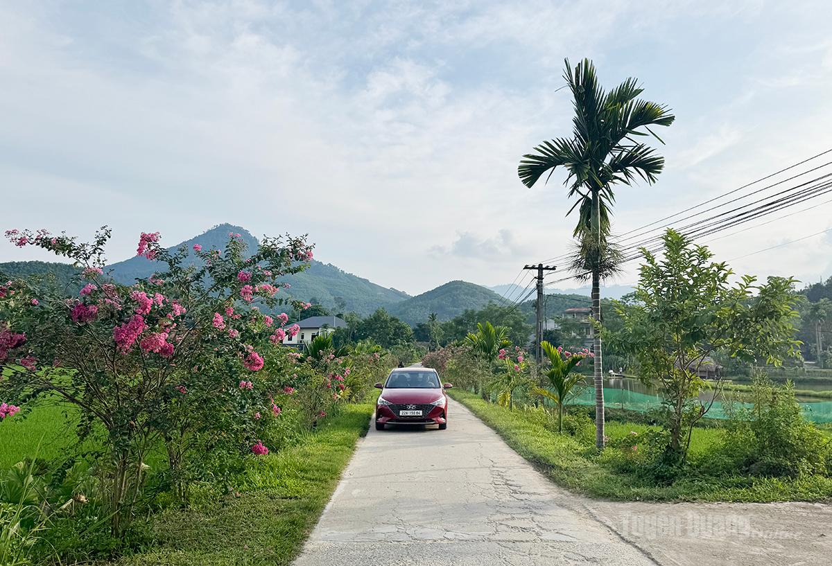 Đường quê xã nông thôn mới Tân An.