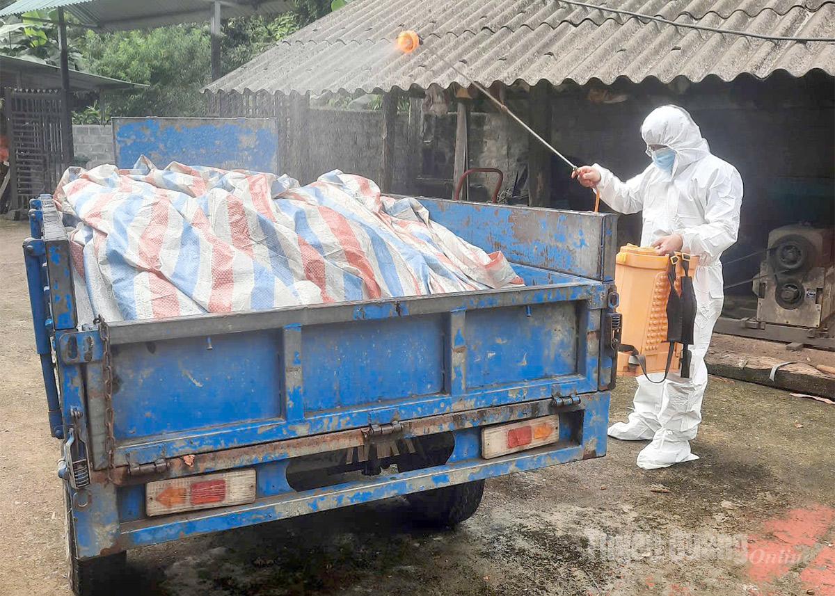 Lực lượng chức năng phun thuốc khử trùng khu vực chuồng trại chăn nuôi tại những hộ dân có lợn nhiễm bệnh.