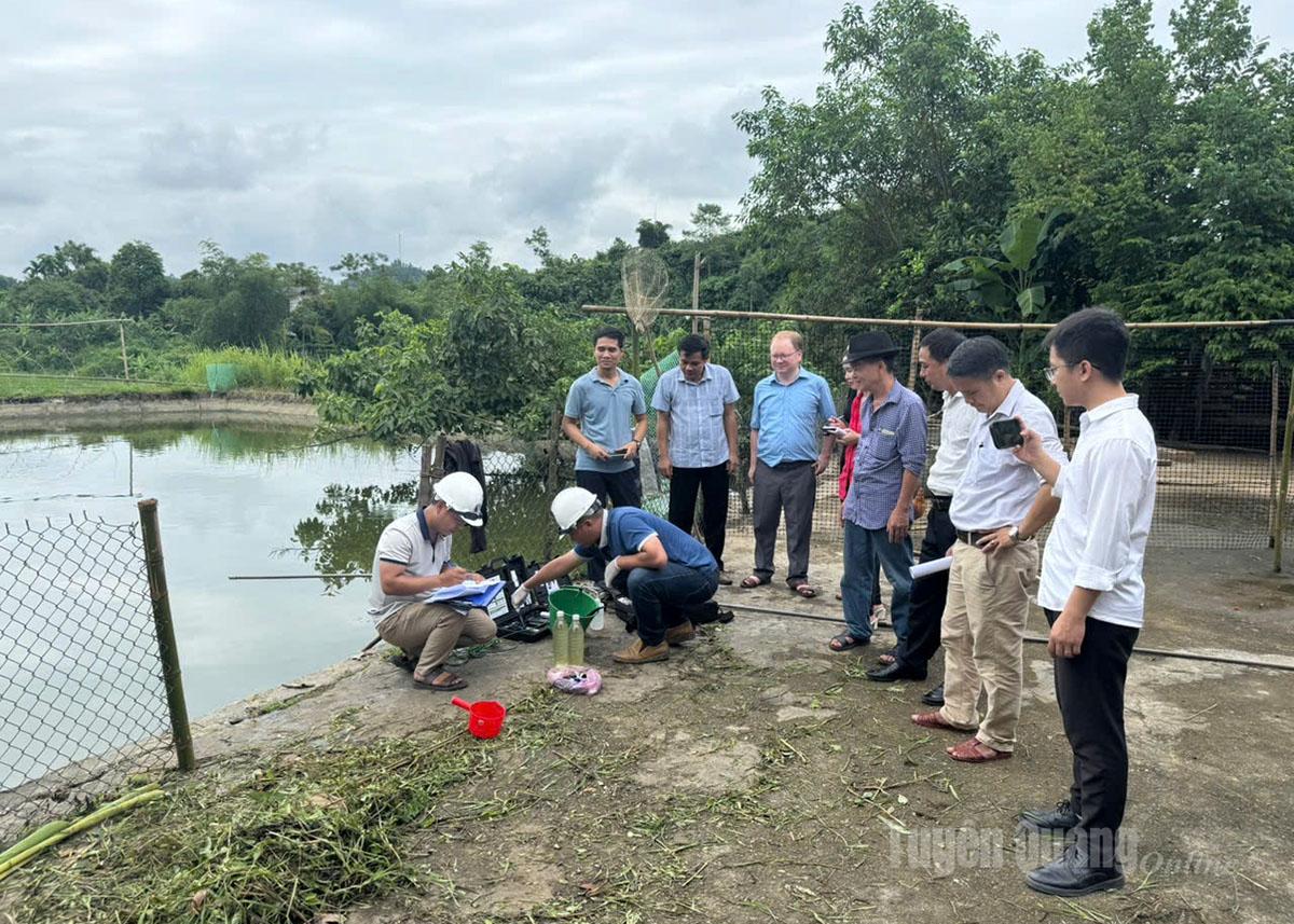  Đoàn công tác lấy mẫu nước tại các ao, hồ nuôi trồng thủy sản trên địa bàn xã Bắc Quang.