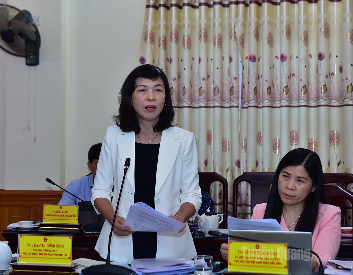 Đồng chí Phó Chủ tịch HĐND tỉnh Phạm Thị Minh Xuân phát biểu tại cuộc họp.