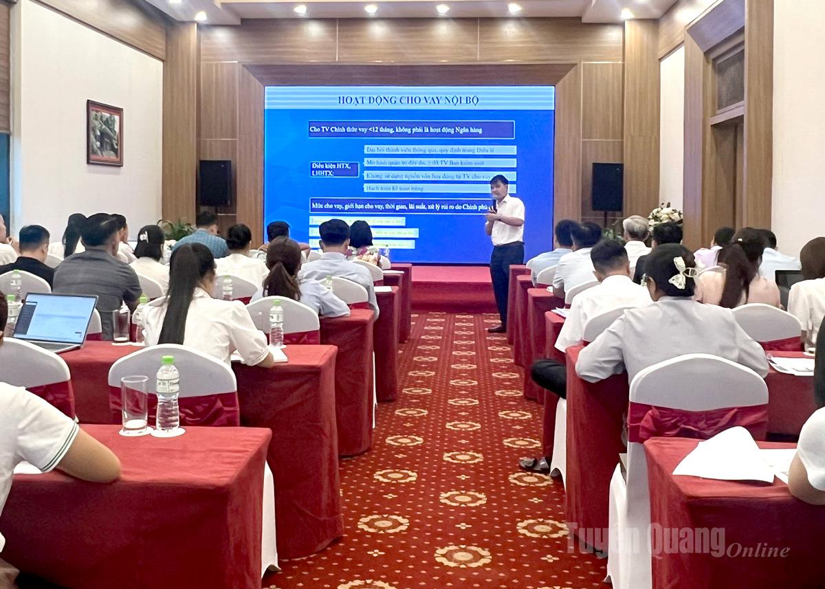 Toàn cảnh buổi tập huấn.