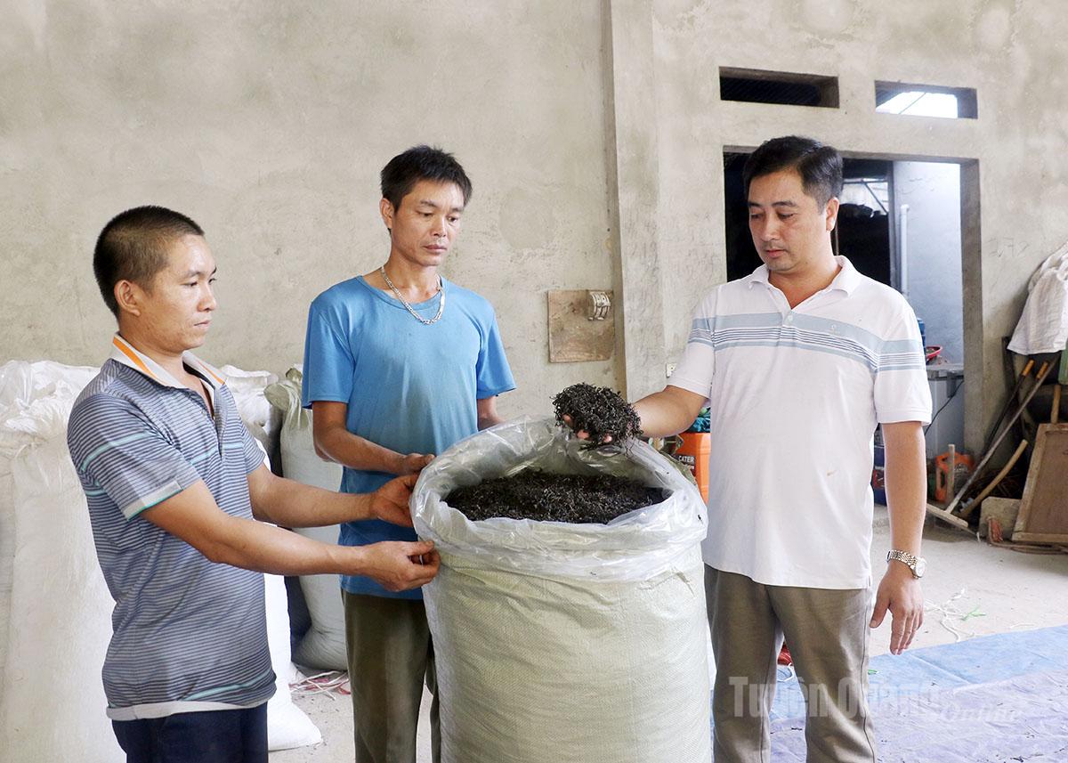 nguồn vốn vay của Agribank Hoàng Su Phì giúp gia đình anh Nông Văn Cường (bên phải) mở rộng sản xuất, kinh doanh chè và có thu nhập cao.