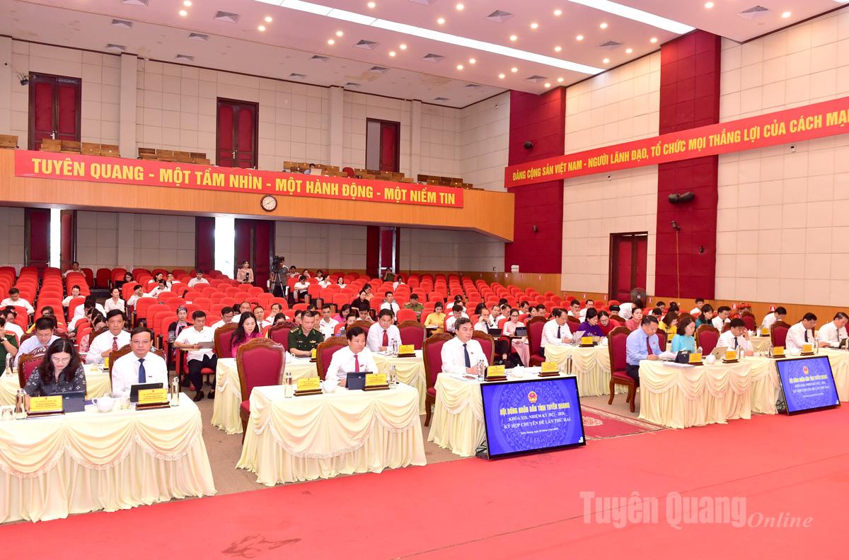 Các đại biểu dự họp.
