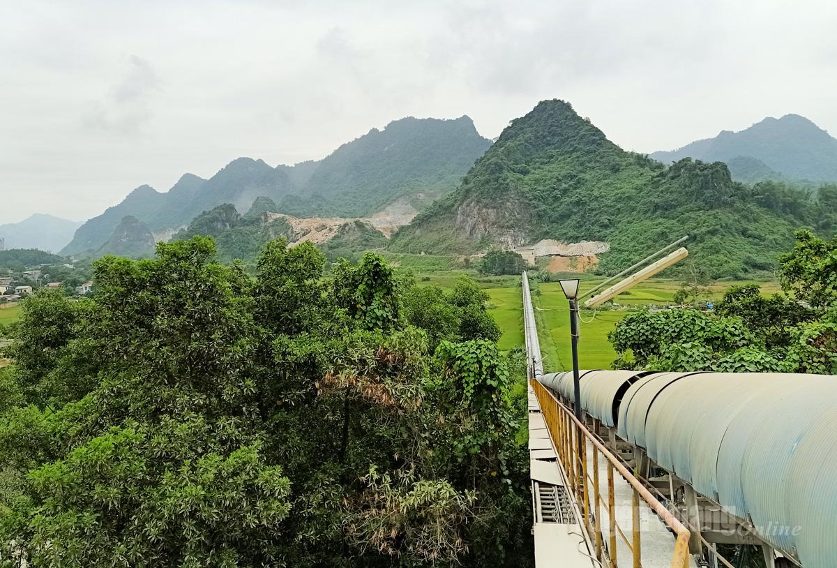 Nguồn nguyên liệu chất lượng được đưa qua hệ thống băng chuyền vào nhà máy sản xuất.