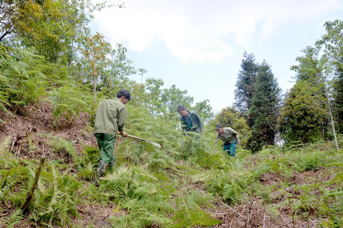 Wherever they go, the patrol clears firebreaks to prevent forest fires - an ongoing task.