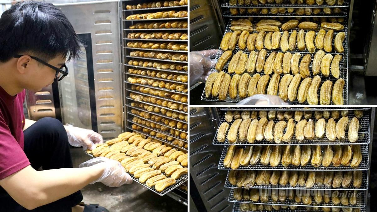 They select ripe bananas to process dried bananas.