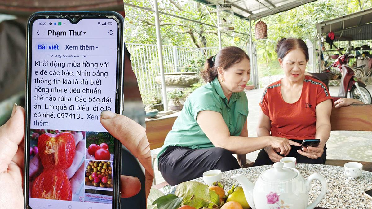 Đồng chí Phó Giám đốc HTX Dịch vụ nông nghiệp Tràng Đà Nguyễn Thị Huệ (áo xanh) đang hướng dẫn người dân bán hồng qua kênh online, giúp tặng sức cạnh tranh và độ nhận diện của sản phẩm trên mạng xã hội.