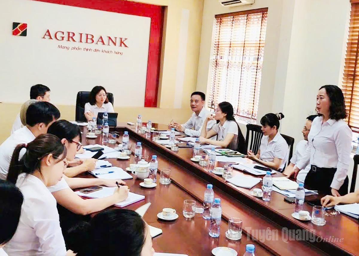 Giám đốc Agribank Tuyên Quang làm việc tại chi nhánh loại II nắm bắt tình hình hoạt động kinh doanh tại các chi nhánh của Agribank