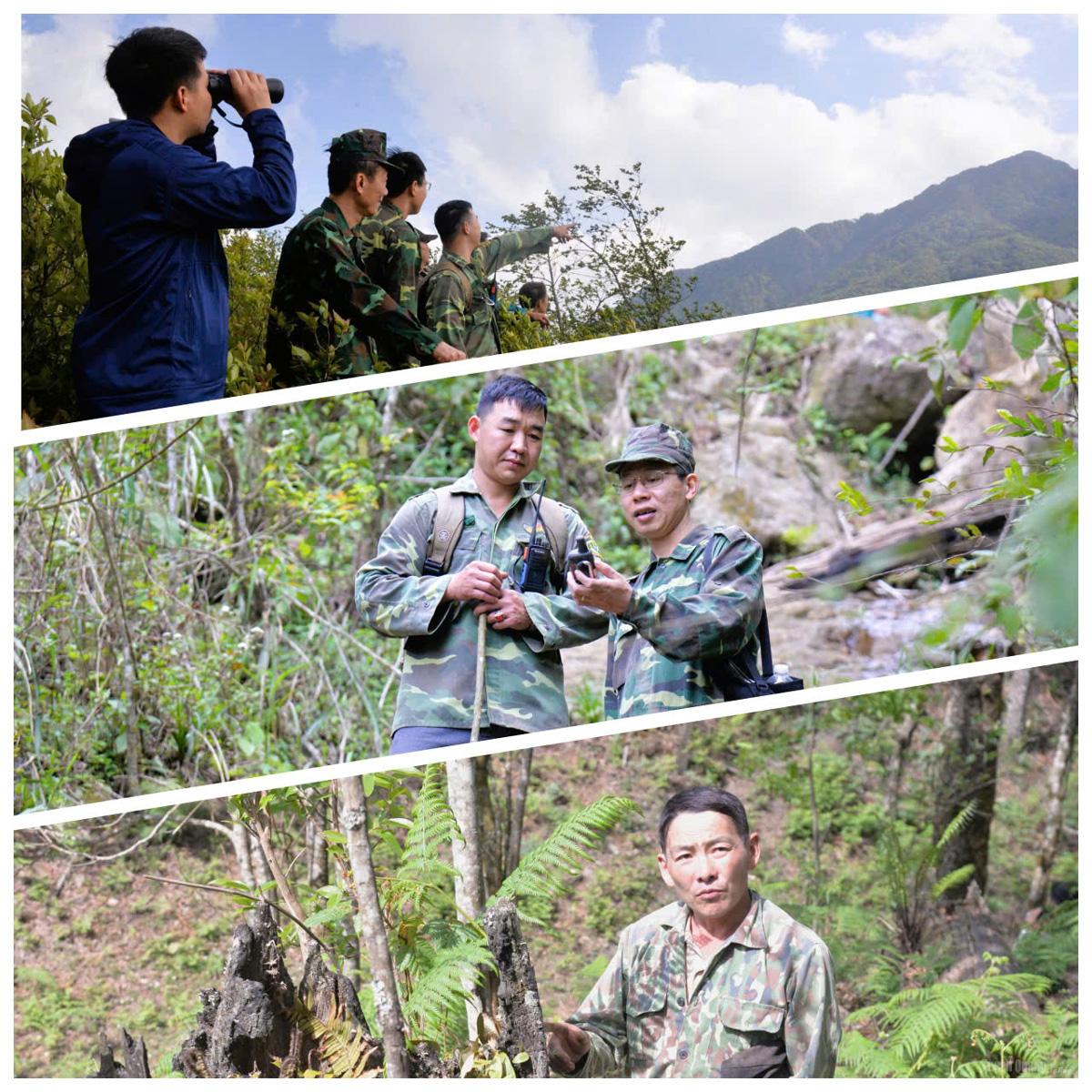 Every step of the forest patrol is a test of endurance and willpower. Yet with determination, responsibility, and love for the forest, the team members never hesitate to overcome every hardship.