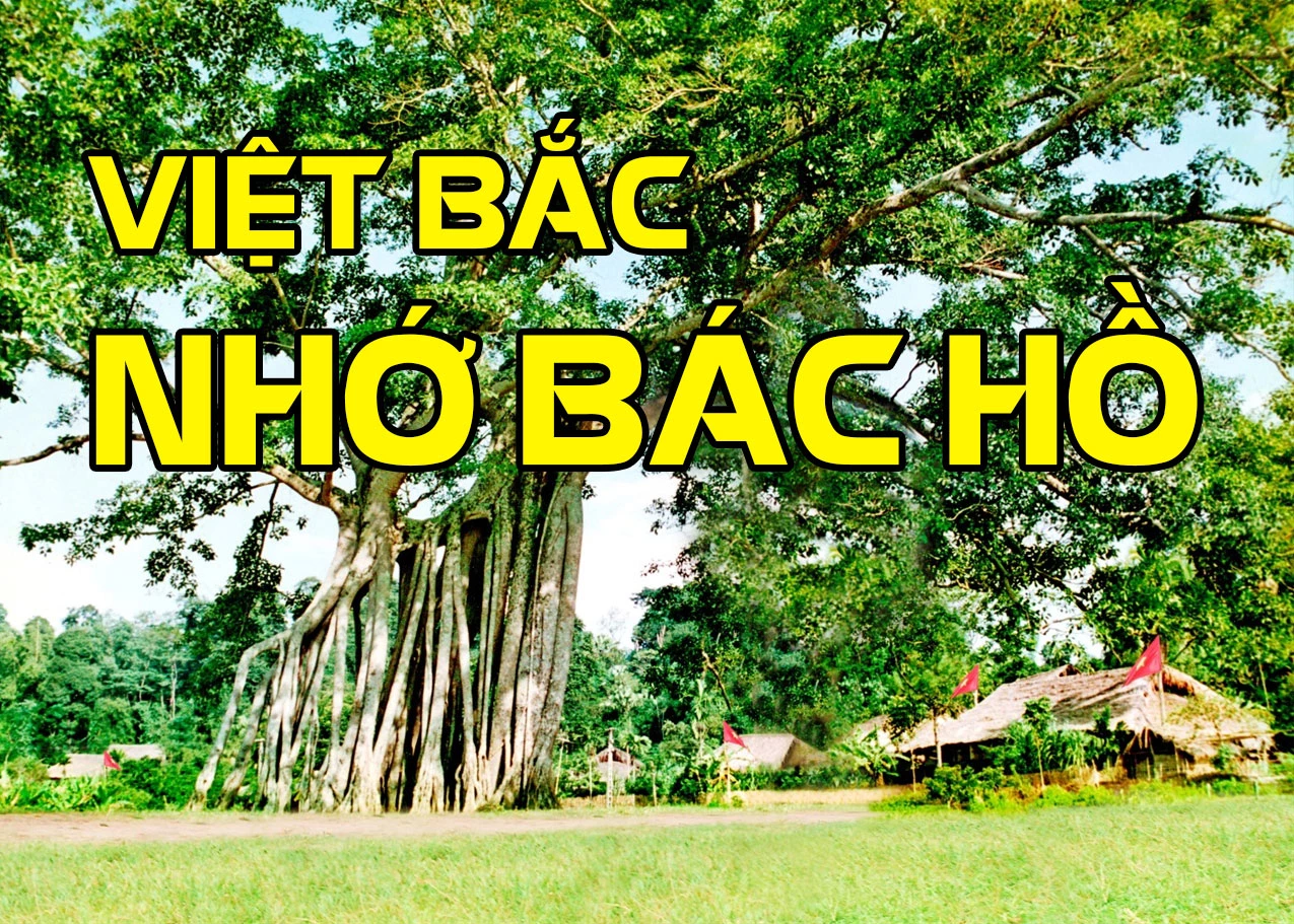Việt Bắc nhớ B&aacute;c Hồ - Tố Hoa