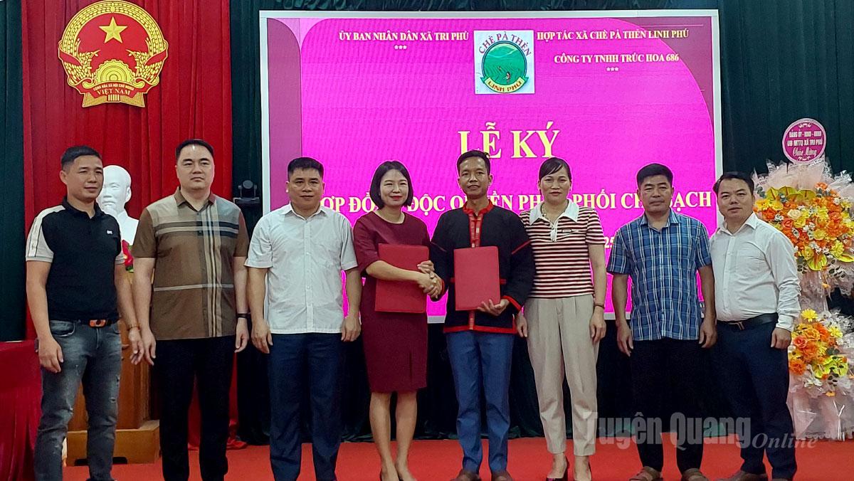 Lễ ký kết độc quyền phân phối sản phẩm của Hợp tác xã chè Pà Thẻn Linh Phú và Công ty TNHH Trúc Hoa 686.