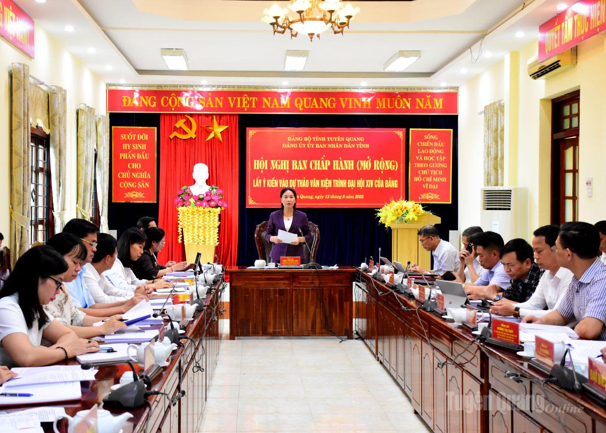 Đồng chí Nông Thị Bích Huệ, Ủy viên Ban Thường vụ Tỉnh ủy, Phó Bí thư Thường trực chuyên trách Đảng ủy UBND tỉnh phát biểu kết luật tại hội nghị.