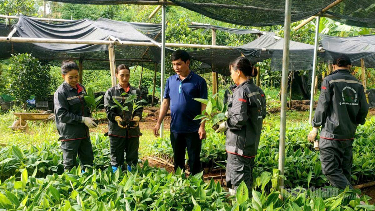 Chuối giống được chăm sóc theo quy trình chuẩn ngay từ vườn ươm, sẵn sàng cho 
vùng nguyên liệu VietGAP.