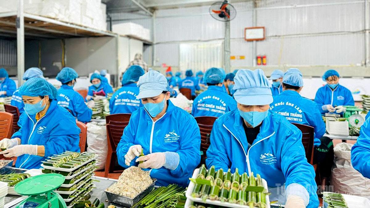 Xưởng chế biến ốc nhồi ống lam.