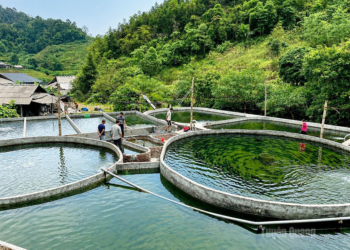Trang trại nuôi cá tầm của anh Đặng Văn Thắng, 
thôn Tham Vè.

