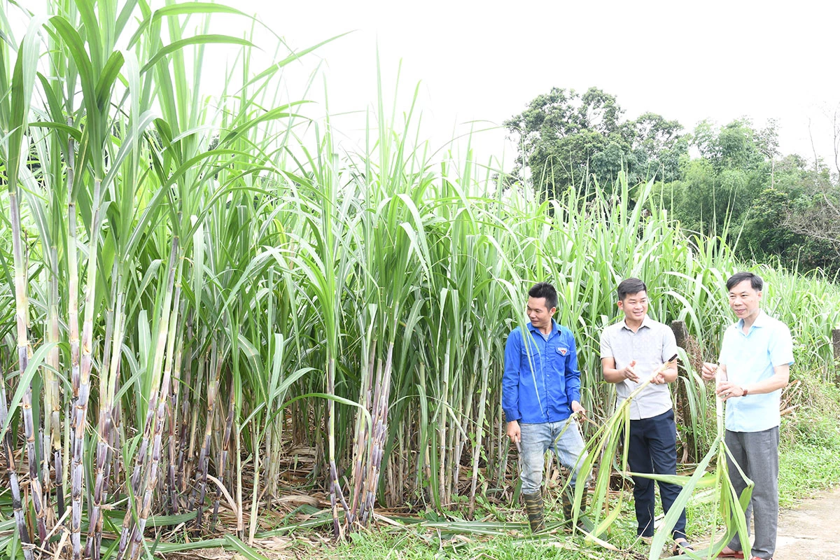Cán bộ xã Bạch Xa, cán bộ thôn Minh Khương nắm tình hình đời sống của Nhân dân.