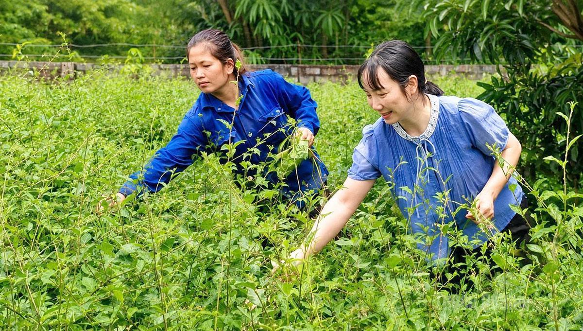 Đánh thức nguồn lực đất đai