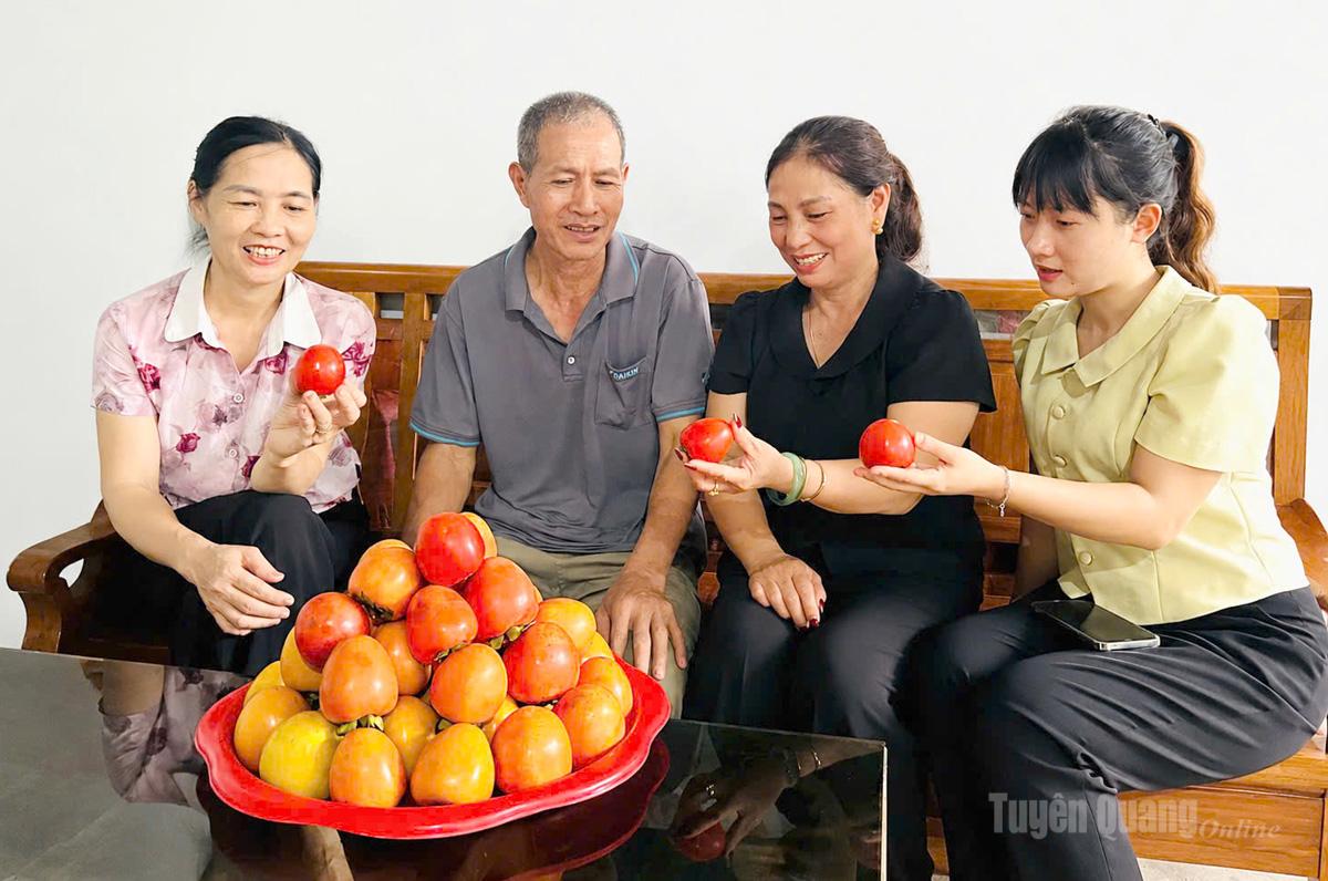Ông Trần Huy Ơn giới thiệu về những trái hồng mọng của gia đình. Ông là người mang những mắt ghép hồng mọng đầu tiên về trồng dưới chân núi Độc. 