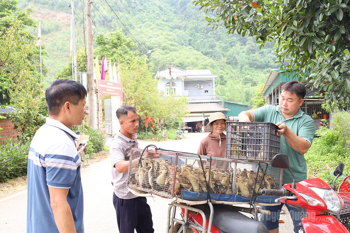 Người dân xã Tân Long nhận con giống từ nguồn hỗ trợ của Chương trình mục tiêu quốc gia giảm nghèo bền vững.
